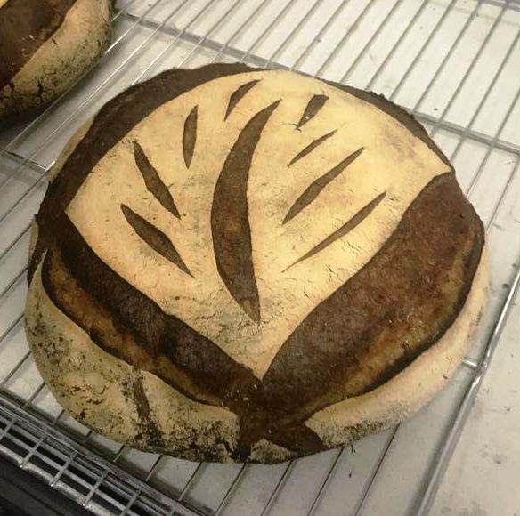 Torta de Mó